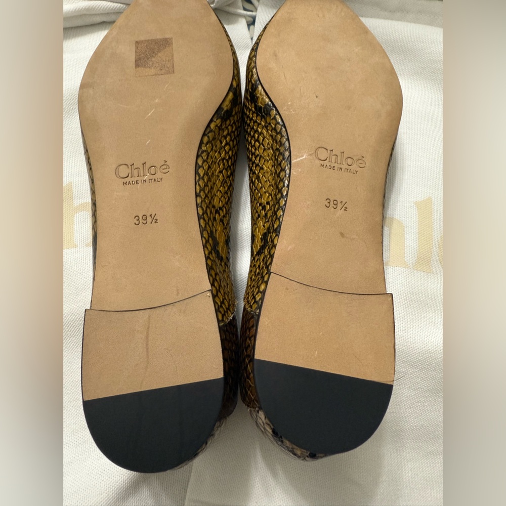 Chloe Leather Ballet Flats Python Scalloped Multicolored Size 9.5 New in Box - Picture 2 of 8